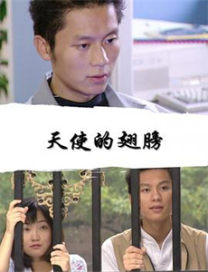 车库拍卖神秘案件:金玉其外