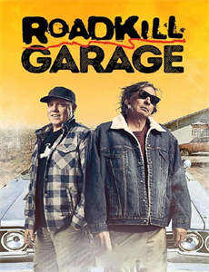 愿得安宁司南晴