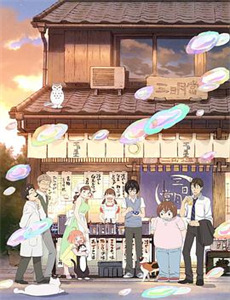 夫人在上少帅知错了